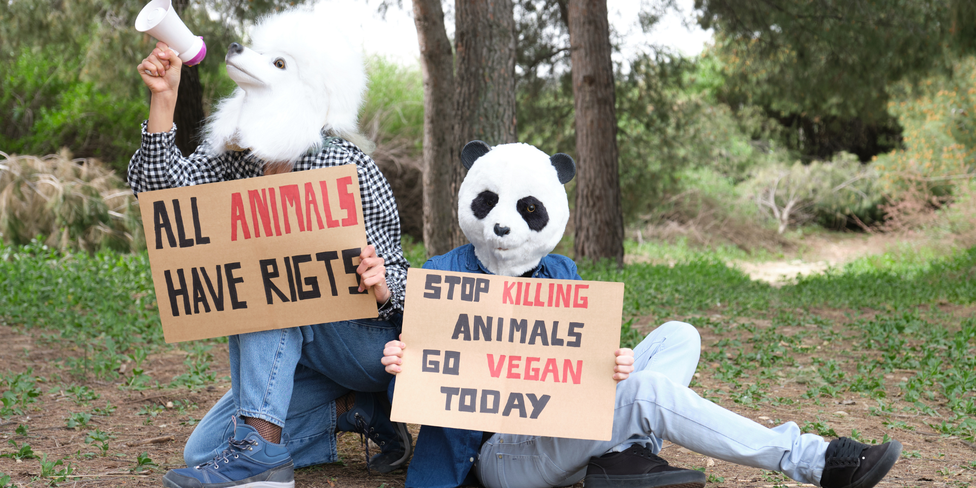 The Power of Vegan Activism: Creating Change Through Compassionate Actions