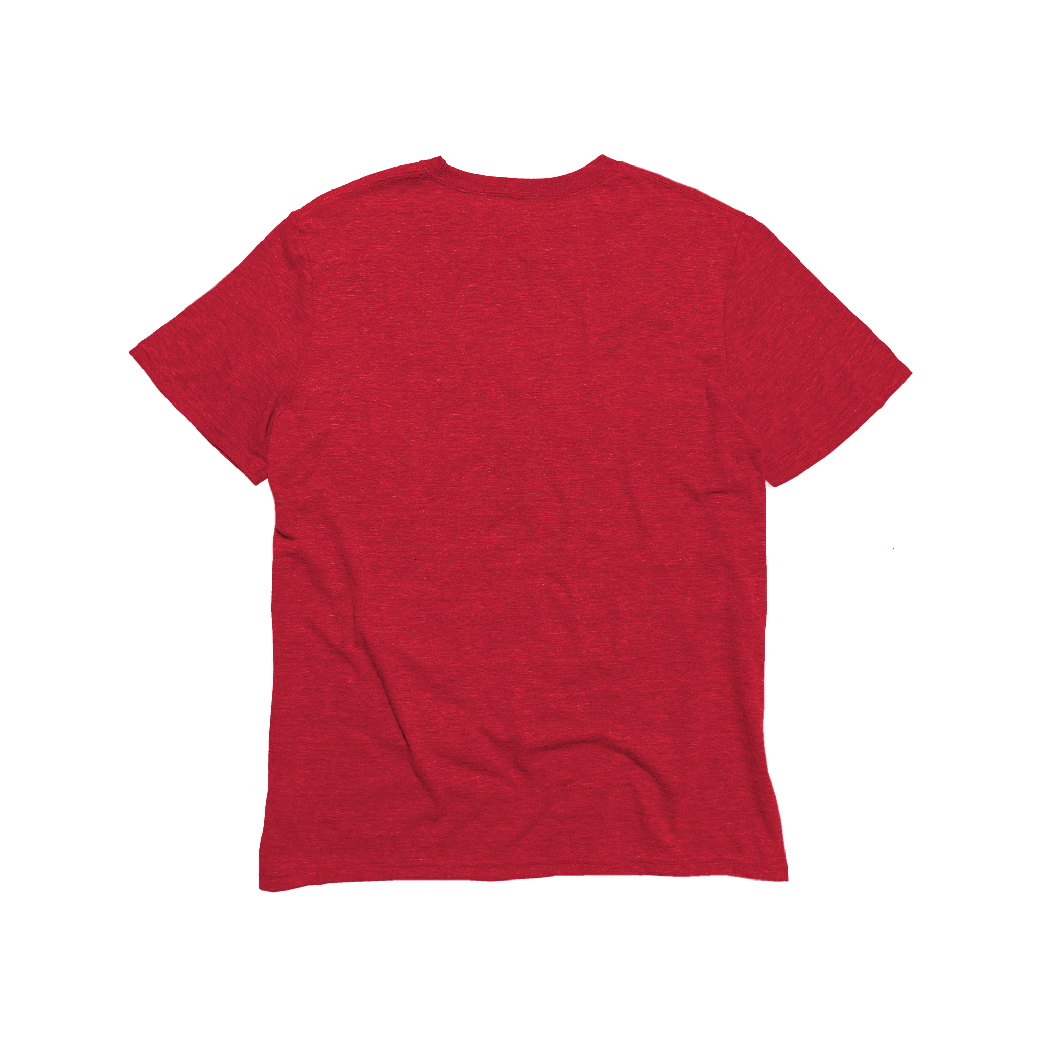 Unisex Eco-Triblend Tee (Core Colors)