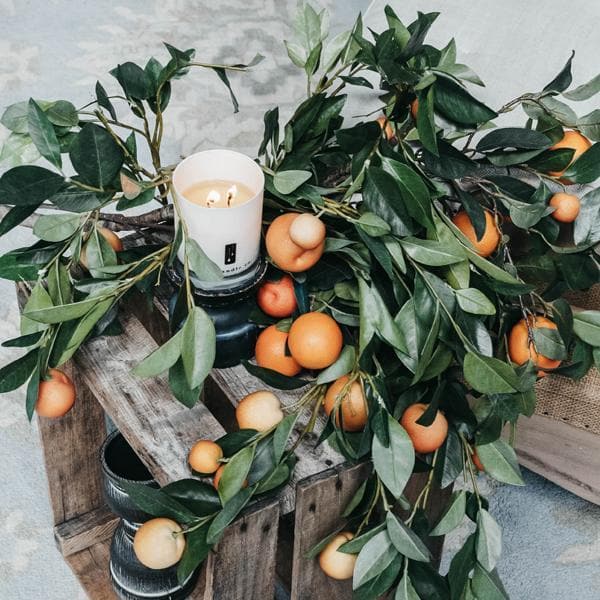 Citrus Tree - Orange Citrus Soy Candle