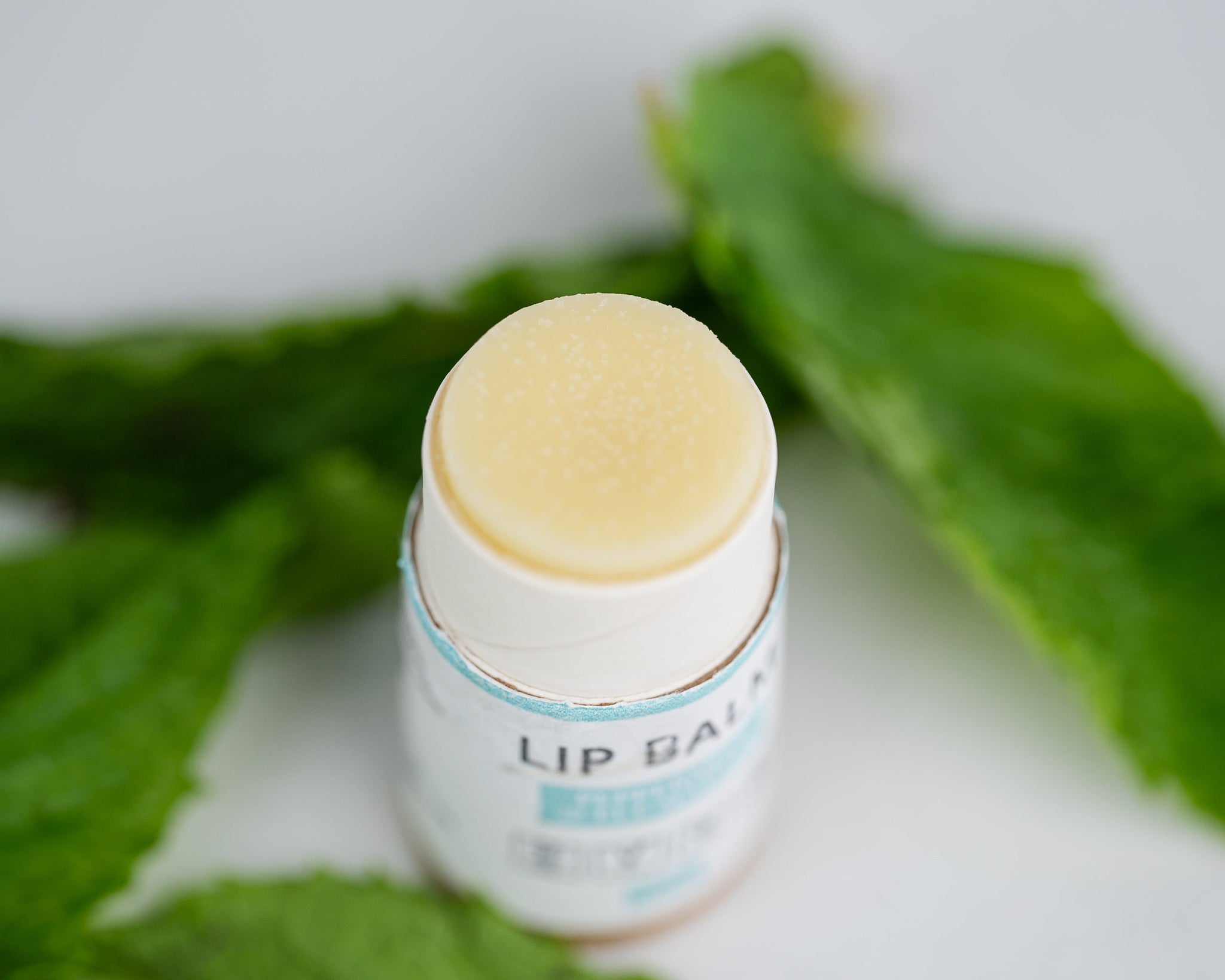 Lip Balm Bundle (5-Pack)