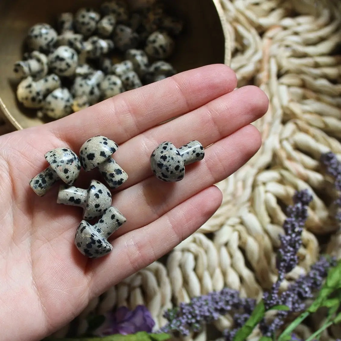 Mini Crystal Mushrooms, Dalmatian Jasper