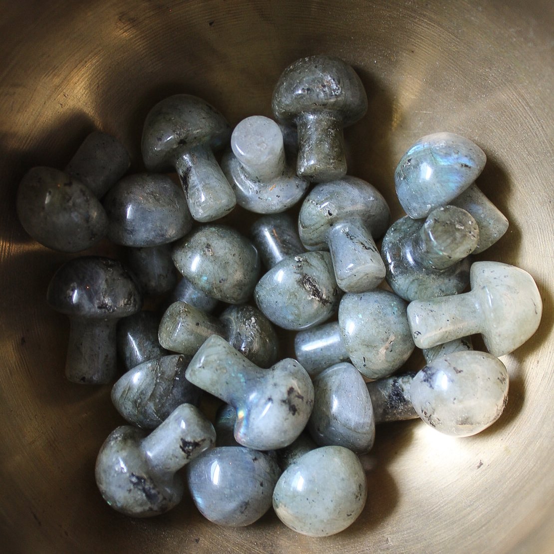 Mini Crystal Mushrooms, Labradorite