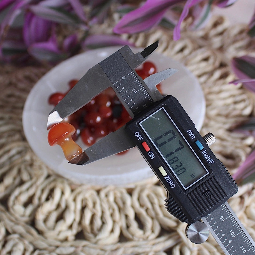 Mini Crystal Mushrooms, Carnelian