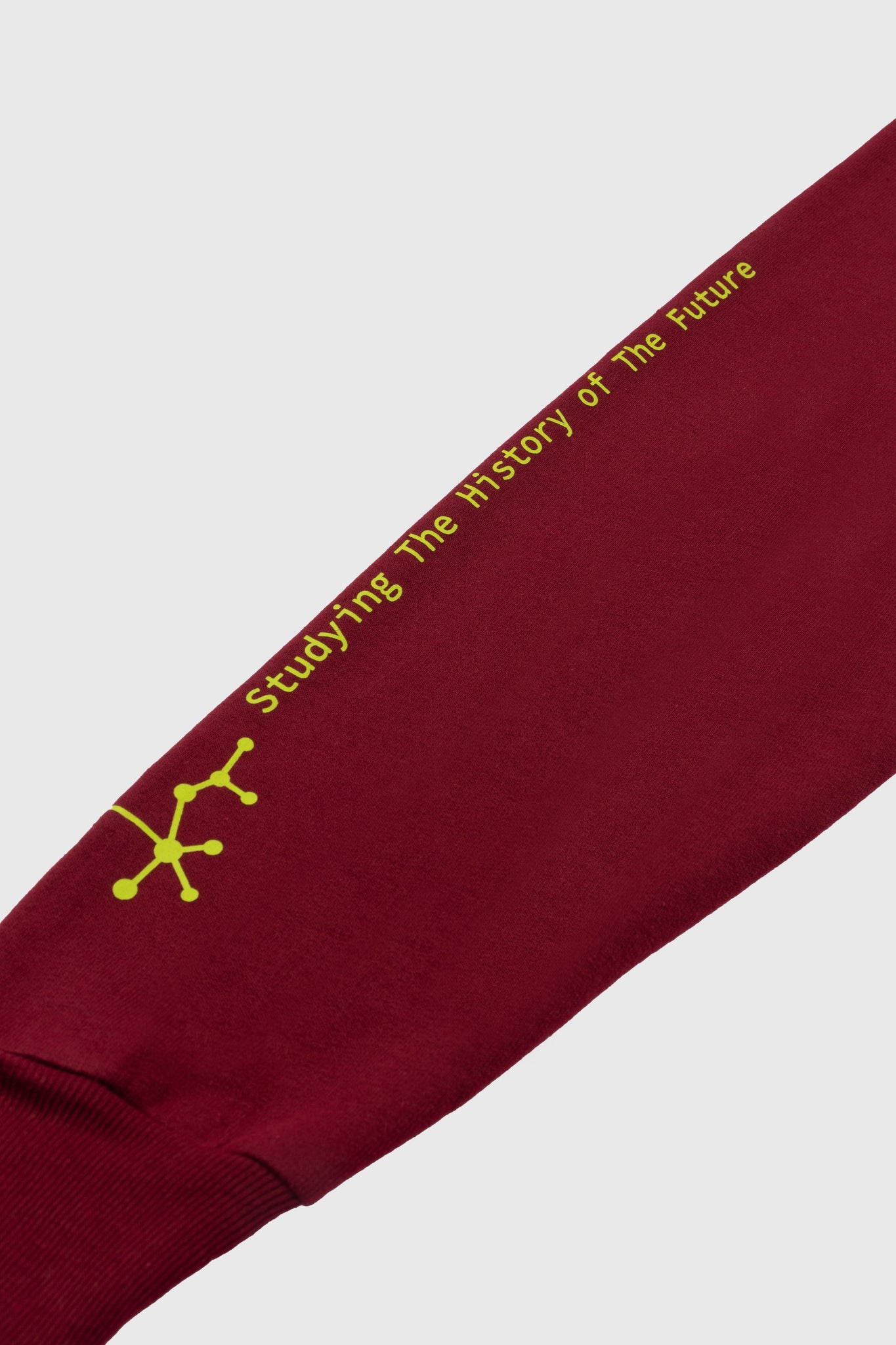 History of the Future Crewneck Sweater (Burgundy)