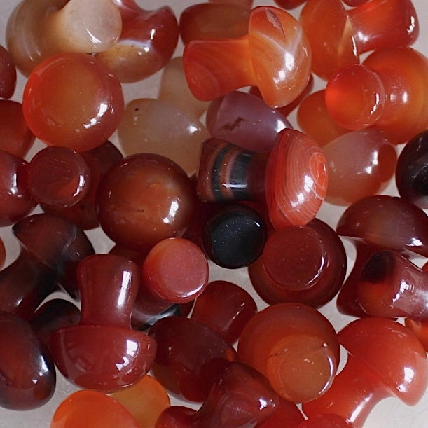 Mini Crystal Mushrooms, Carnelian