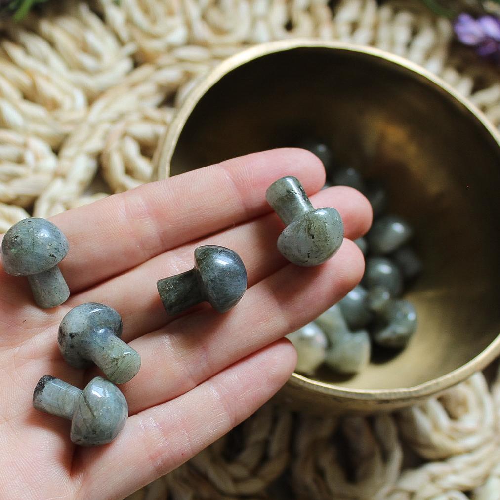 Mini Crystal Mushrooms, Labradorite